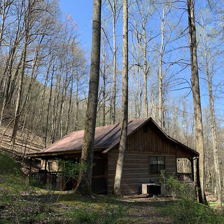 Little Mountain Hideaway Cabin Pigeon Forge Exterior foto